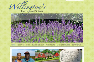 Wellingtons Herbs & Spices website